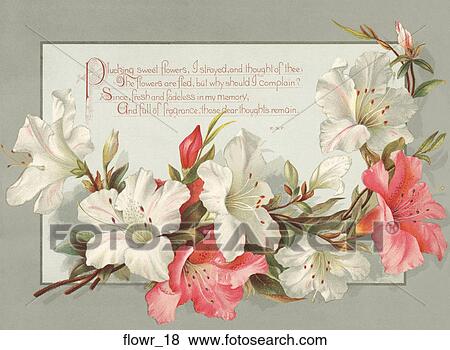 Victorian Flower Motif Illustration View Large Illustration Stock Illustration - Victorian Flower Motif Illustration . Fotosearch