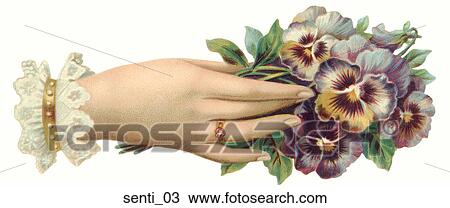 Victorian Illustration of a Woman's Hand with Pansies View Large Illustration Drawing - Victorian Illustration of a Woman's Hand with Pansies . Fotosearch