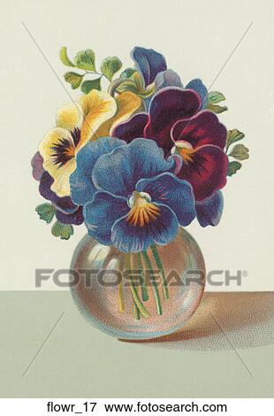 Stock Illustration - Victorian Illustration of Pansies in a Vase. Fotosearch