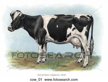 型 イラスト の 乳牛 クリップアート Cow 01 Fotosearch