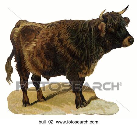 Drawing - Victorian Die Cut Illustration of a Bull. Fotosearch