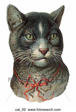 Drawing - Victorian Die Cut Illustration of a Cat. Fotosearch