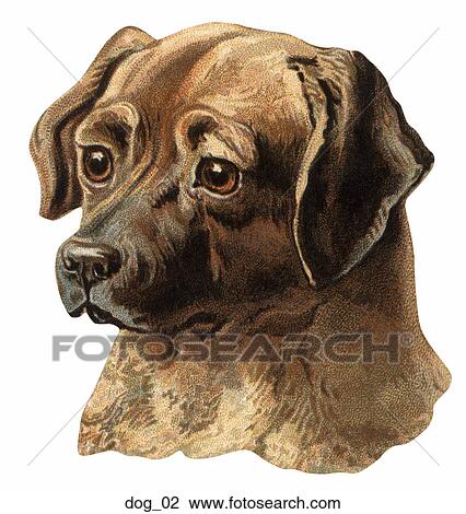 Drawing - Victorian Die Cut Illustration of a Dog . Fotosearch