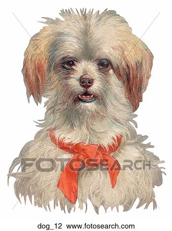 Drawing - Victorian Die Cut Illustration of a Dog (Terrier). Fotosearch