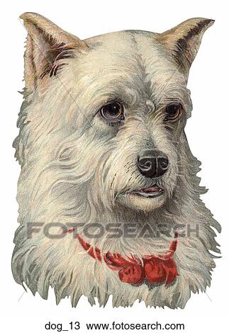 Victorian Die Cut Illustration of a Dog (Spitz) View Large Illustration Drawing - Victorian Die Cut Illustration of a Dog (Spitz). Fotosearch