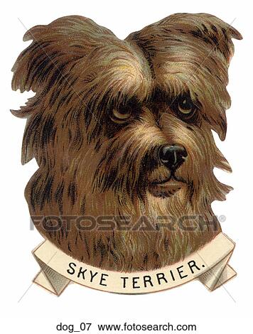 Stock Illustration - Victorian Die Cut Illustration of a Dog (SkyeTerrier). Fotosearch