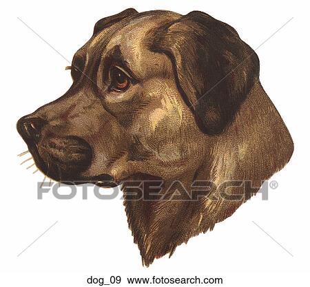 Victorian Die Cut Illustration of a Dog (Pointer) View Large Illustration Stock Illustration - Victorian Die Cut Illustration of a Dog (Pointer). Fotosearch