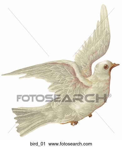 Clip Art - Victorian Die Cut Illustration of a Dove. Fotosearch