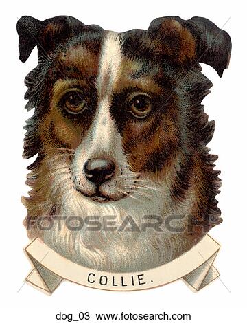 Drawing - Victorian Die Cut Illustration of a Collie Dog . Fotosearch