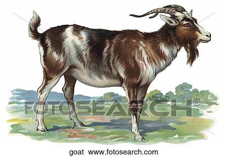 Stock Illustration of Victorian Die Cut Illustration of a Goat goat ...