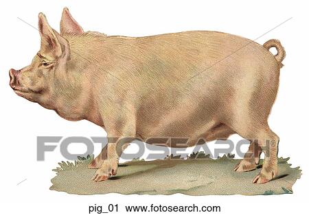 Clip Art - Victorian Die Cut Illustration of a Pig. Fotosearch