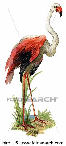 Stock Illustration - Victorian Die Cut Illustration of a Flamingo. Fotosearch
