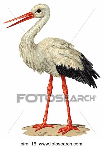 Stock Illustration - Victorian Die Cut Illustration of a Stork. Fotosearch