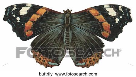 Stock Illustration - Victorian Die Cut Illustration of a Butterfly. Fotosearch