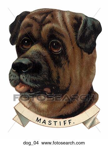 Victorian Die Cut Illustration of a Mastiff Dog View Large Illustration Stock Illustration - Victorian Die Cut Illustration of a Mastiff Dog . Fotosearch