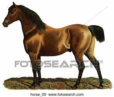Victorian Die Cut Illustration of a Horse View Large Illustration Stock Illustration - Victorian Die Cut Illustration of a Horse. Fotosearch