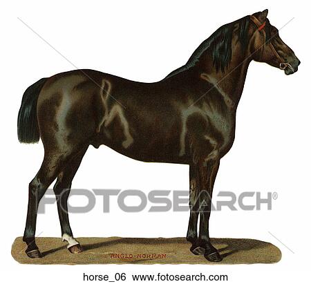 Victorian Die Cut Illustration of a Shiny Black Horse View Large Illustration Stock Illustration - Victorian Die Cut Illustration of a Shiny Black Horse. Fotosearch