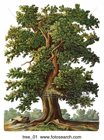 Clip Art - Victorian Die Cut Illustration of a Tree. Fotosearch