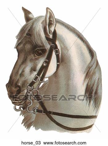 Victorian Die Cut Illustration of White Horse View Large Illustration Drawing - Victorian Die Cut Illustration of White Horse. Fotosearch
