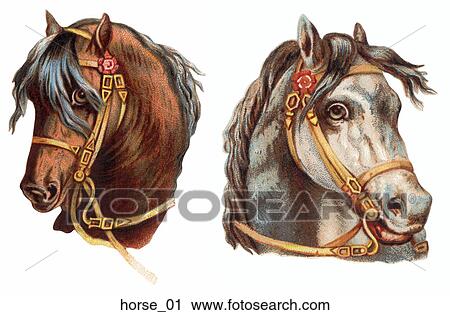 Clip Art - Victorian Die Cut Illustrations of Horse Heads. Fotosearch