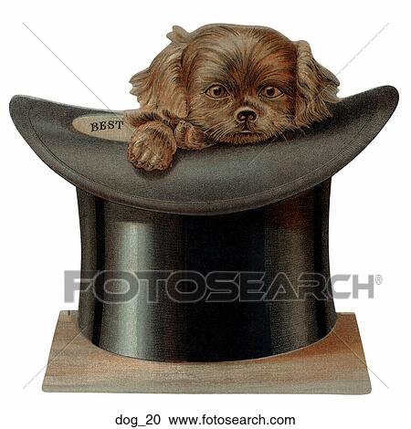 dog in top hat