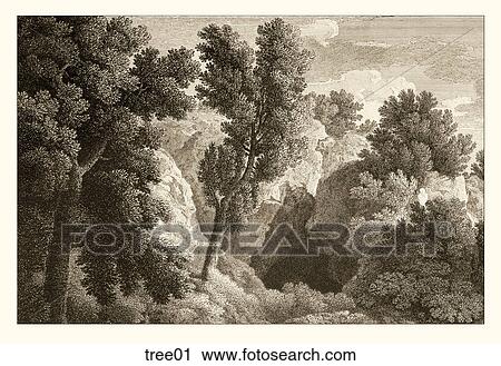 アンティークなイラスト Copper Engraving の A 樹木が茂った Scene 後で Poussin クリップアート Tree01 Fotosearch