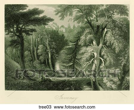Antique Illustration (copper engraving) of a Wooded Landscape, "Invermay" (Location: Scotland) View Large Illustration Drawing - Antique Illustration (copper engraving) of a Wooded Landscape, "Invermay" (Location: Scotland) . Fotosearch