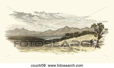 Stock Illustration - Antique Illustration (engraving) of a Pastoral Scene with Sheep. Fotosearch