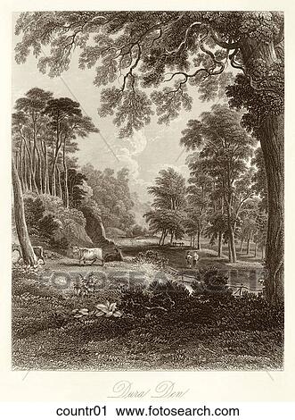 Clip Art - Antique Illustration (steel engraving) of a View of a Rural Scene with Cattle, "Dura Den" (Location: Scotland) . Fotosearch