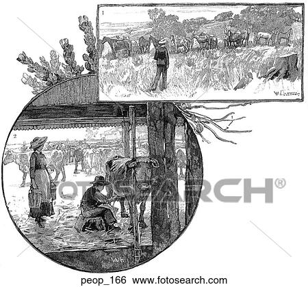 Farm work: milking the cows and tending the horses View Large Illustration Stock Illustration - Farm work: milking the cows and tending the horses. Fotosearch