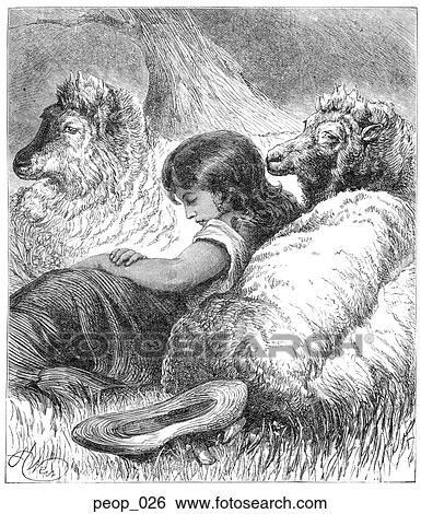 Stock Illustration - Girl sleeping with sheep. Fotosearch