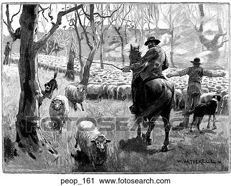 Herding sheep on horseback View Large Illustration Clip Art - Herding sheep on horseback. Fotosearch