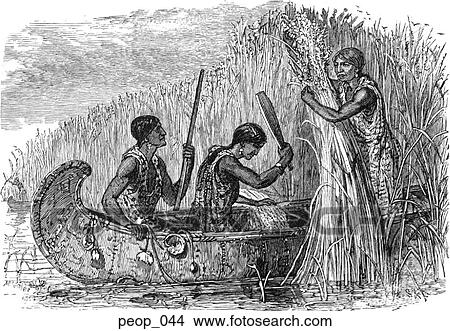 Stock Illustration - Indians gathering wild rice in a canoe. Fotosearch