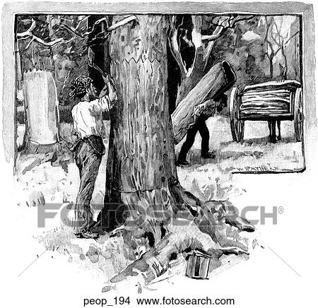 Men removing the bark from gum trees View Large Illustration Stock Illustration - Men removing the bark from gum trees. Fotosearch