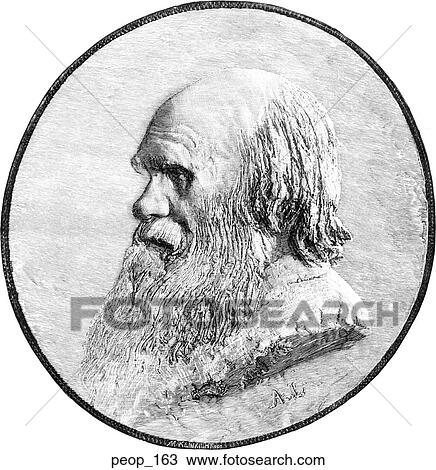 Drawing - Portrait - Charles Darwin. Fotosearch