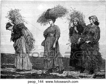"The Gleaners" from the picture by Val Prinsep View Large Illustration Stock Illustration - "The Gleaners" from the picture by Val Prinsep. Fotosearch