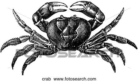 Aquatic life - other. A crab. View Large Illustration Clipart - Aquatic life - other. A crab.. Fotosearch