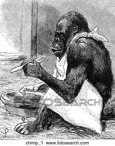 Clip Art - Mammals - general. A chimp about to eat.. Fotosearch