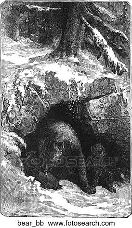 Mammals - general. Bear #2: a bear emerging from a cave. View Large Illustration Clipart - Mammals - general. Bear #2: a bear emerging from a cave.. Fotosearch