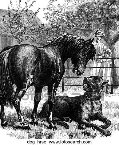 Mammals - scene. A horse and a dog. View Large Illustration Clip Art - Mammals - scene. A horse and a dog.. Fotosearch