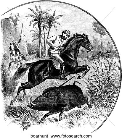 Mammals - scenes. A hunt for wild boar. View Large Illustration Stock Illustration - Mammals - scenes. A hunt for wild boar.. Fotosearch