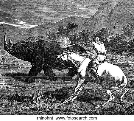 Mammals - scenes. A man on horseback hunting a rhino. View Large Illustration Stock Illustration - Mammals - scenes. A man on horseback hunting a rhino.. Fotosearch