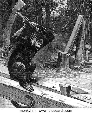 Mammals - scenes. A monkey splitting wood. View Large Illustration Stock Illustration - Mammals - scenes. A monkey splitting wood.. Fotosearch