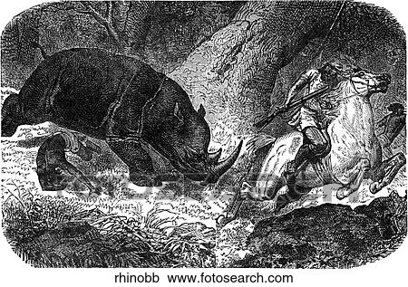 Clipart - Mammals - scenes. A rhino charges a man on a horse.. Fotosearch