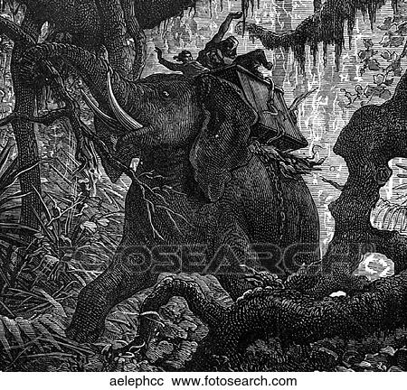Mammals - scenes. African elephant running wild with riders! View Large Illustration Clipart - Mammals - scenes. African elephant running wild with riders!. Fotosearch