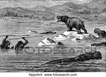 Mammals - scenes. Hunting hippos in a river. View Large Illustration Stock Illustration - Mammals - scenes. Hunting hippos in a river.. Fotosearch