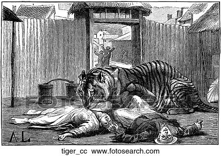 Mammals - scenes. Tiger, a man-eater! View Large Illustration Clipart - Mammals - scenes. Tiger, a man-eater!. Fotosearch