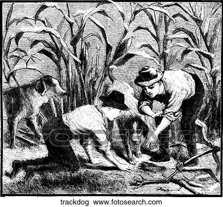 Mammals - scenes. Two boys tracking with two dogs. View Large Illustration Drawing - Mammals - scenes. Two boys tracking with two dogs.. Fotosearch