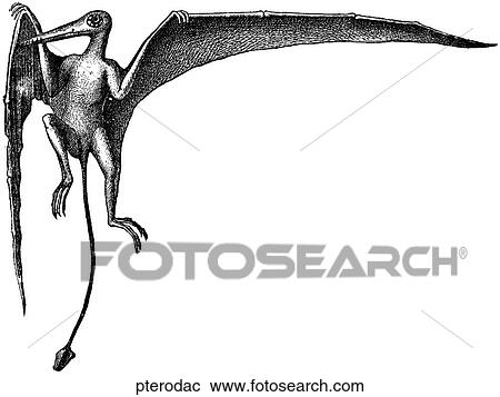 Prehistoric. A pterodactyl. View Large Illustration Clipart - Prehistoric. A pterodactyl.. Fotosearch