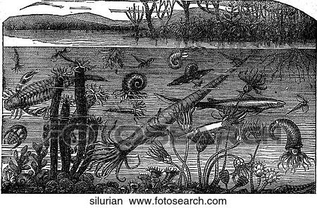 Prehistoric. The silurian age above and below the water. View Large Illustration Stock Illustration - Prehistoric. The silurian age above and below the water.. Fotosearch